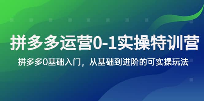 拼多多-运营0-1实操训练营，拼多多0基础入门，从基础到进阶的可实操玩法-小奔自媒体