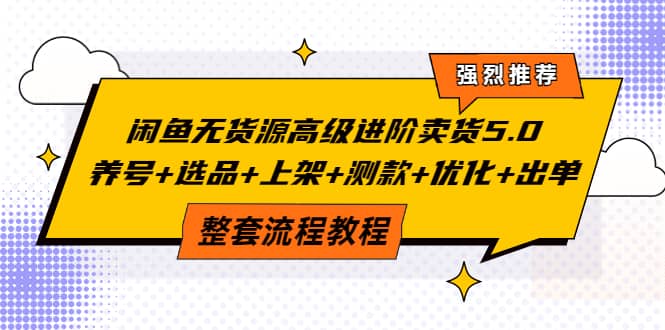 闲鱼无货源高级进阶卖货5.0，养号 选品 上架 测款 优化 出单整套流程教程-小奔自媒体