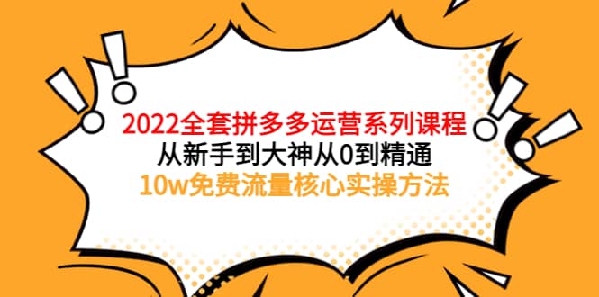2022全套拼多多运营课程，从新手到大神从0到精通，10w免费流量核心实操方法-小奔自媒体