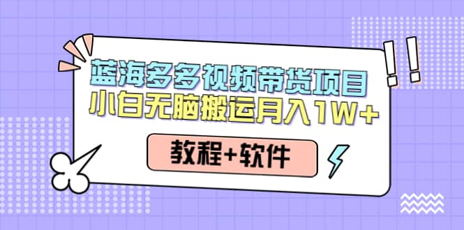 人人都能操作的蓝海多多视频带货项目 小白无脑搬运（教程 软件）-小奔自媒体