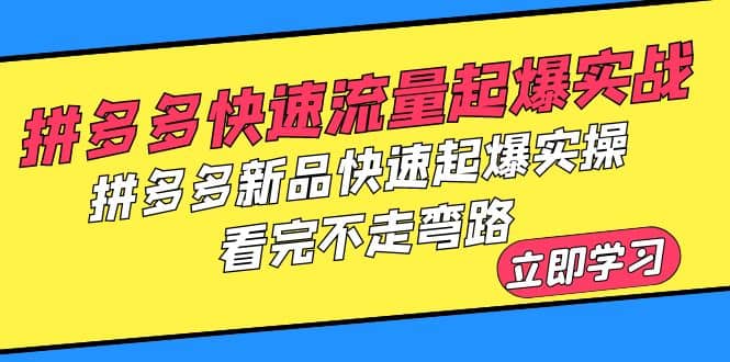 拼多多-快速流量起爆实战，拼多多新品快速起爆实操，看完不走弯路-小奔自媒体