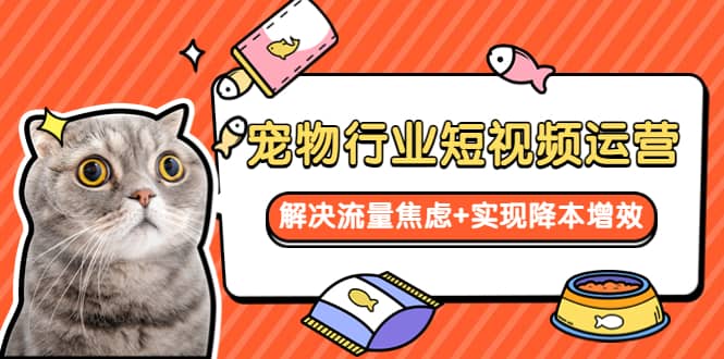 宠物/行业短视频运营 流量增长的一层窗户纸 解决流量焦虑 实现降本增效-小奔自媒体