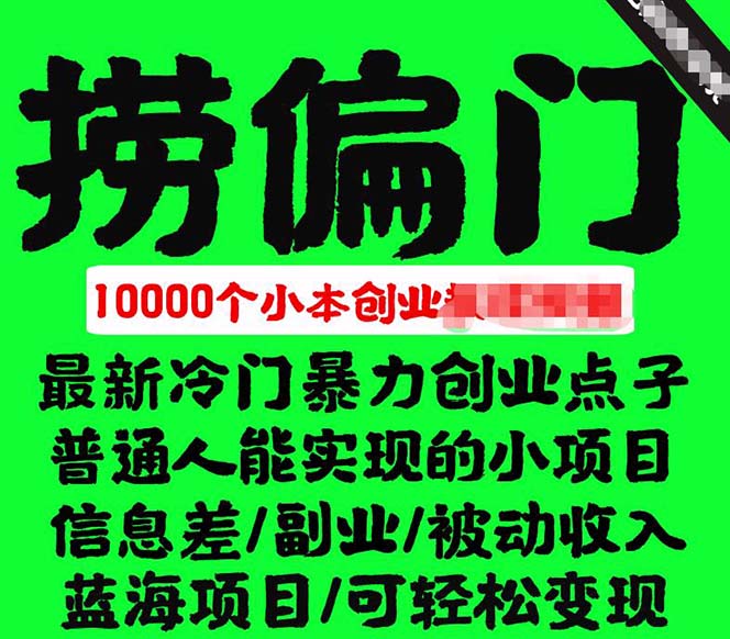 千款捞偏门小本创业小项目，总有一款适合你【无水印】-小奔自媒体