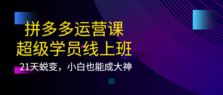 拼多多运营课：超级学员线上班，21天蜕变，小白也能成大神-小奔自媒体