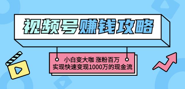 玩转微信视频号赚钱：小白变大咖涨粉百万实现快速变现1000万的现金流-小奔自媒体