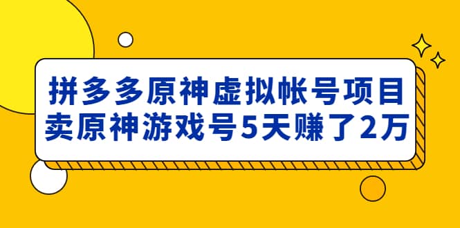 外面卖2980的拼多多原神虚拟帐号项目-小奔自媒体