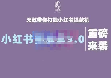 谢无敌·小红书实战营3.0，无敌带你打造小红书提款机 价值7999元-小奔自媒体