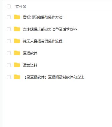 左小姐-直播带货俱乐部十三行、无人直播，全套教程附：工具、文档、话术资料-小奔自媒体