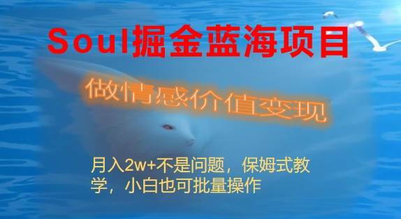 Soul掘金蓝海项目细分赛道，做情感价值变现，月入2w 不是问题-小奔自媒体