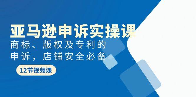 亚马逊-申诉实战课，商标、版权及专利的申诉，店铺安全必备-小奔自媒体